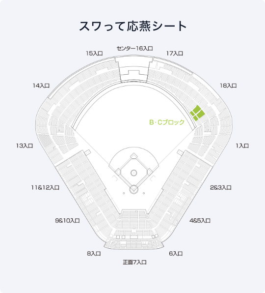 スワローズ応燕パック2024 ホーム外野B指定席