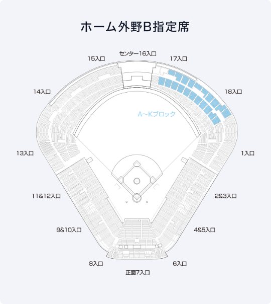 スワローズ応燕パック2024 スワって応燕シート