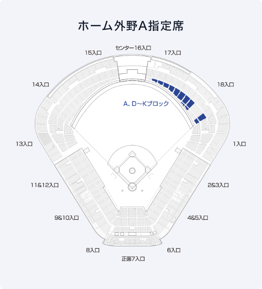 スワローズ応燕パック2024 ホーム外野A指定席