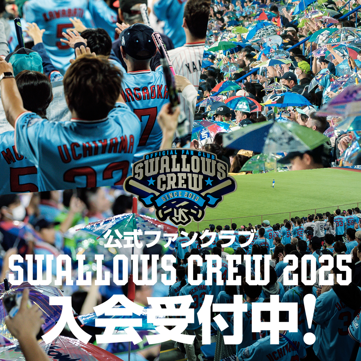 Swallows Fan Club Image